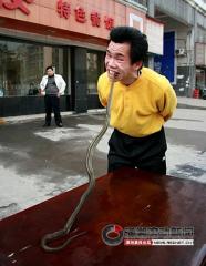 强！湖南岳阳一年轻小伙街头表演生吃活蛇