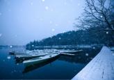 与人山人海的断桥残雪相比，杭州雪景之杨公堤低调的宁静美！